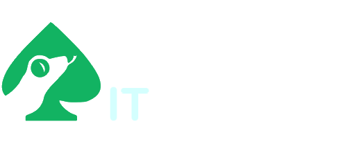 Gamblizard IT